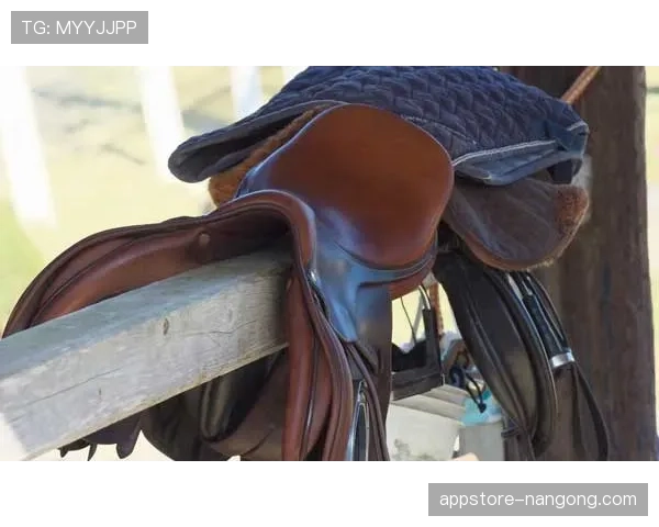 富里睡醒发现自家马场又多了一辆法拉利