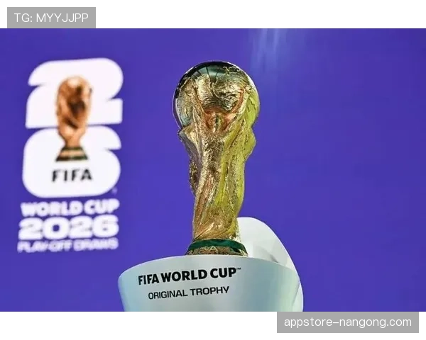 2026世界杯出线球队盘点：进入淘汰赛队伍完整整理